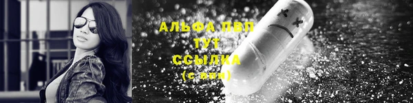 эйфоретик Беломорск