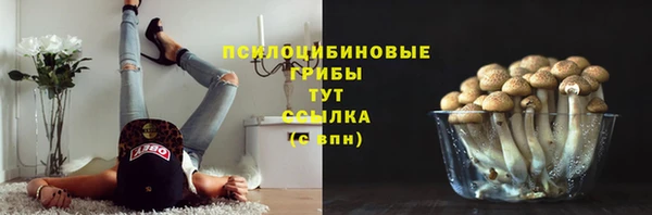 МДМА Белокуриха