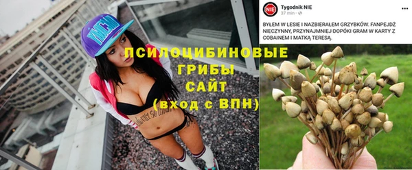 МДМА Белокуриха