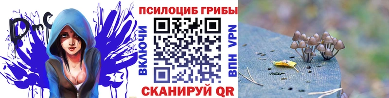 Псилоцибиновые грибы мицелий  Купить где  Михайловка 